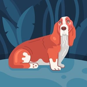 Meet your Posher, Elijah